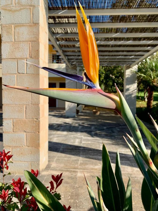 Aggelos And Thisbe Chania Suburbs Sea View Guest House Exteriér fotografie