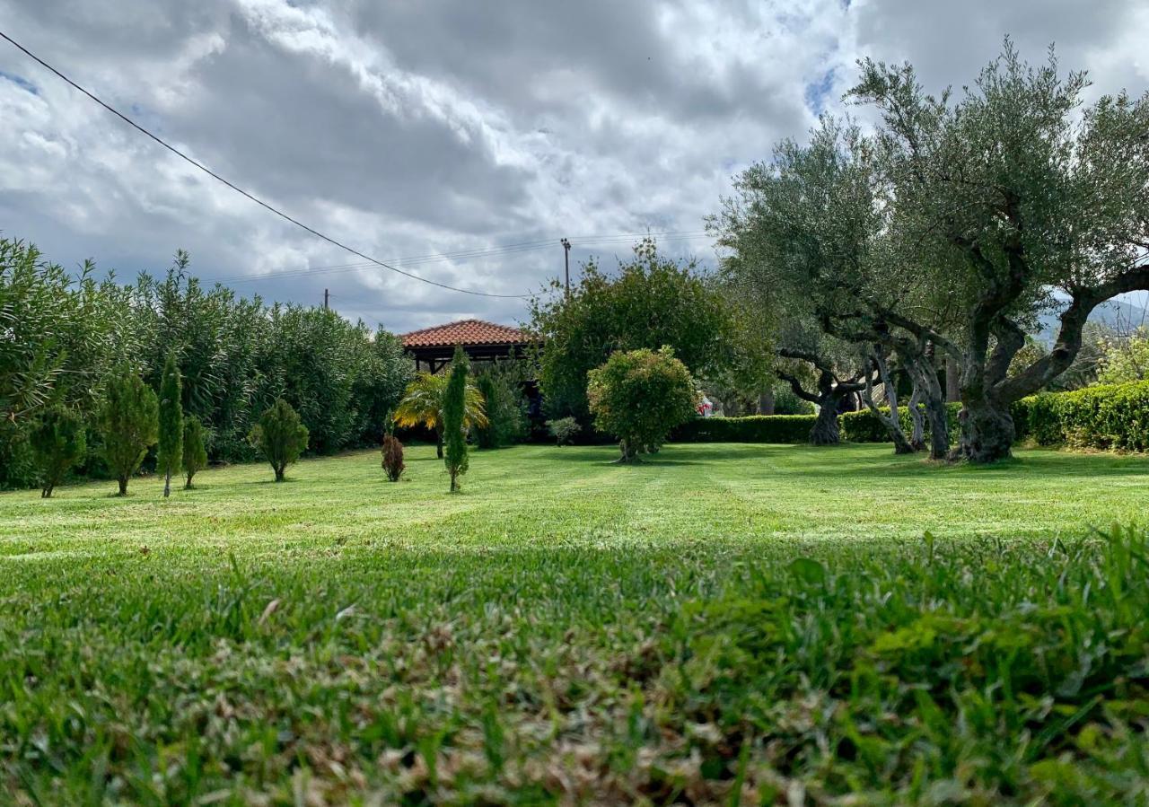 Aggelos And Thisbe Chania Suburbs Sea View Guest House Exteriér fotografie