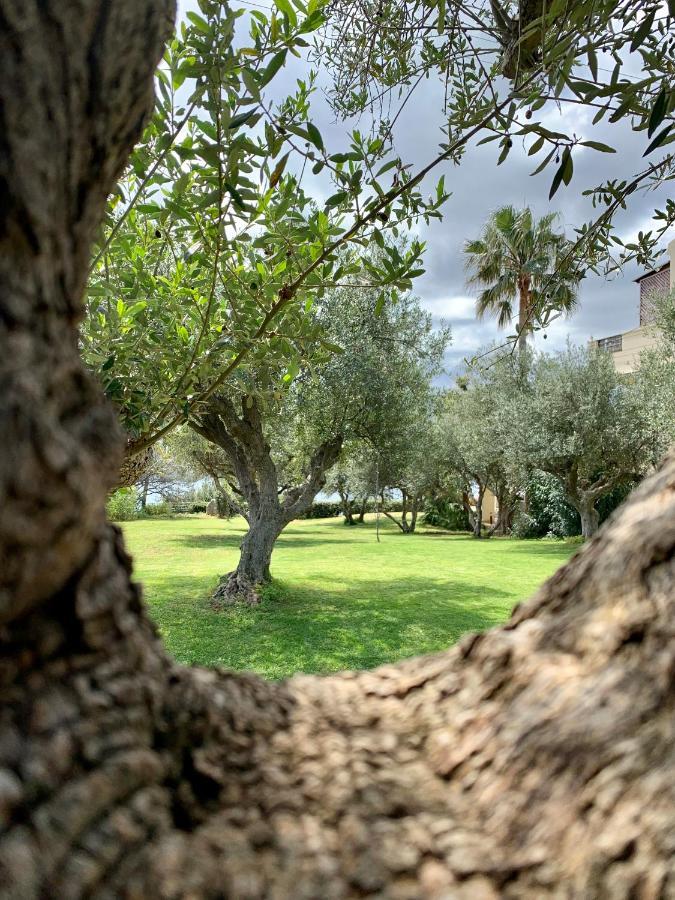 Aggelos And Thisbe Chania Suburbs Sea View Guest House Exteriér fotografie